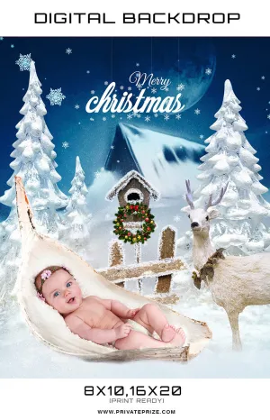 Baby Christmas Digital Backdrop Snow Photographer Template