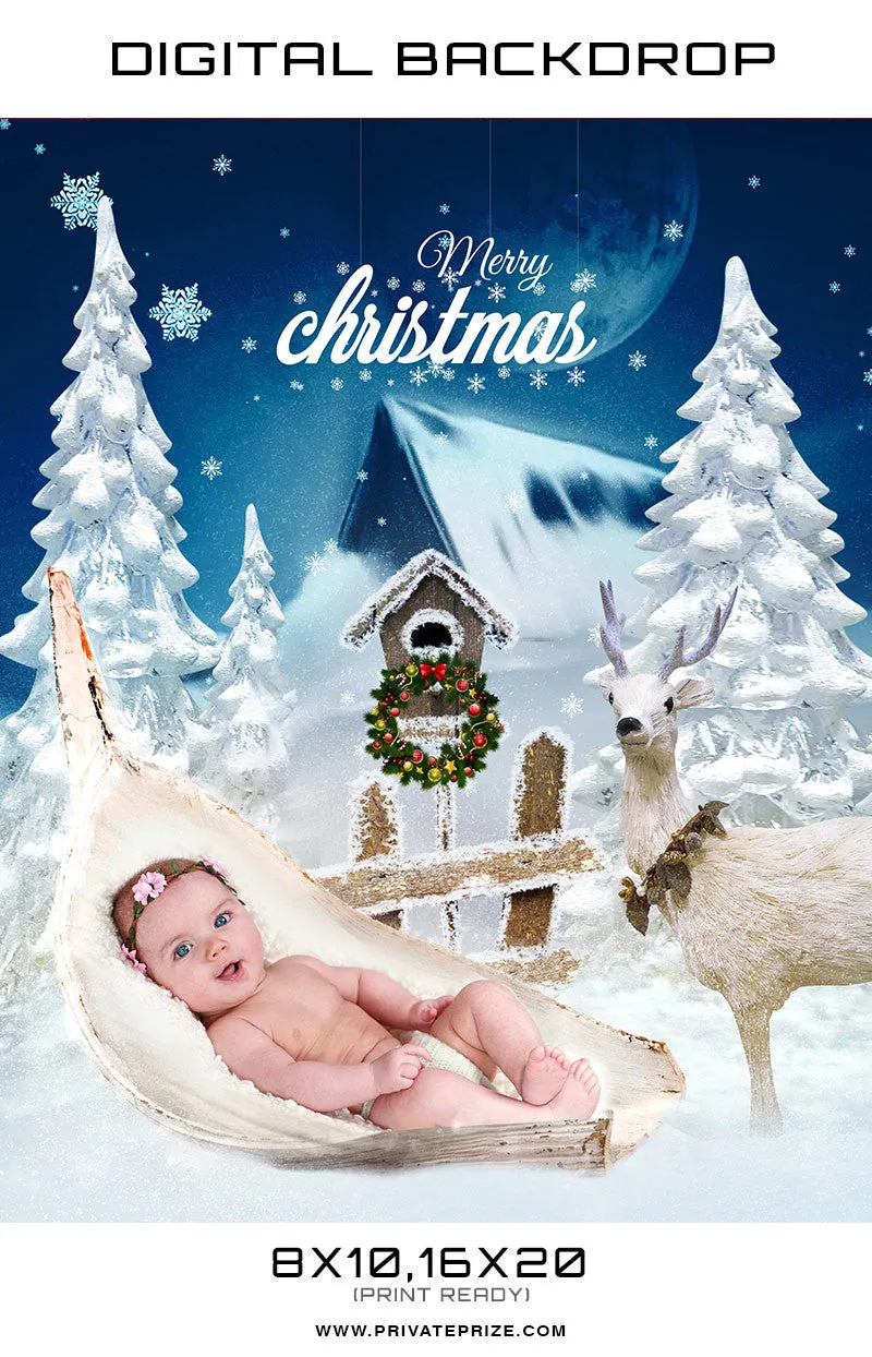 Baby Christmas Digital Backdrop Snow Photographer Template