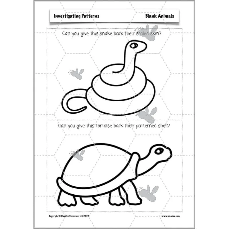 Investigating Patterns
