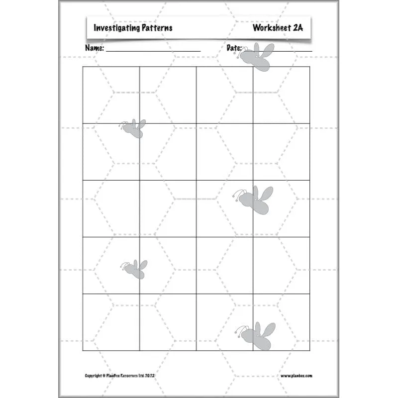 Investigating Patterns