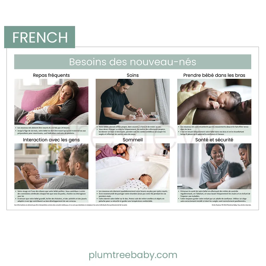 Newborn Needs Poster