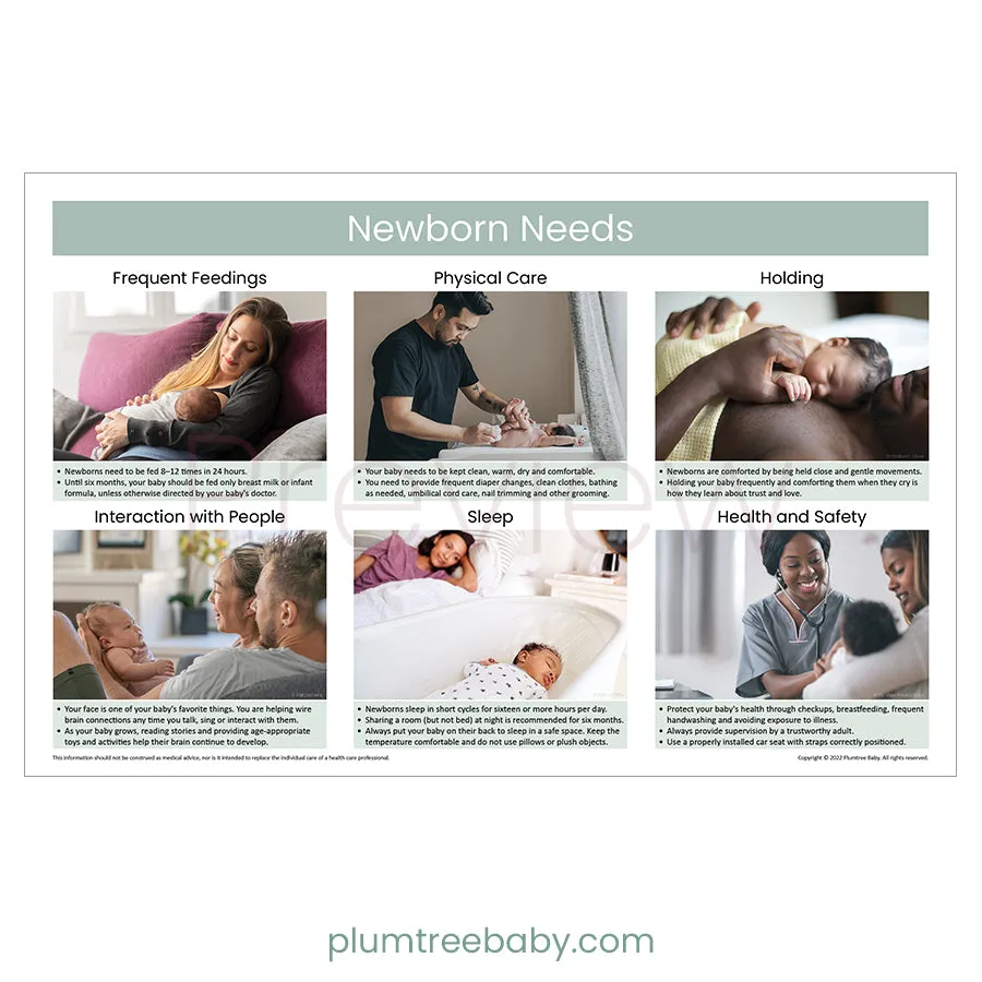 Newborn Needs Poster