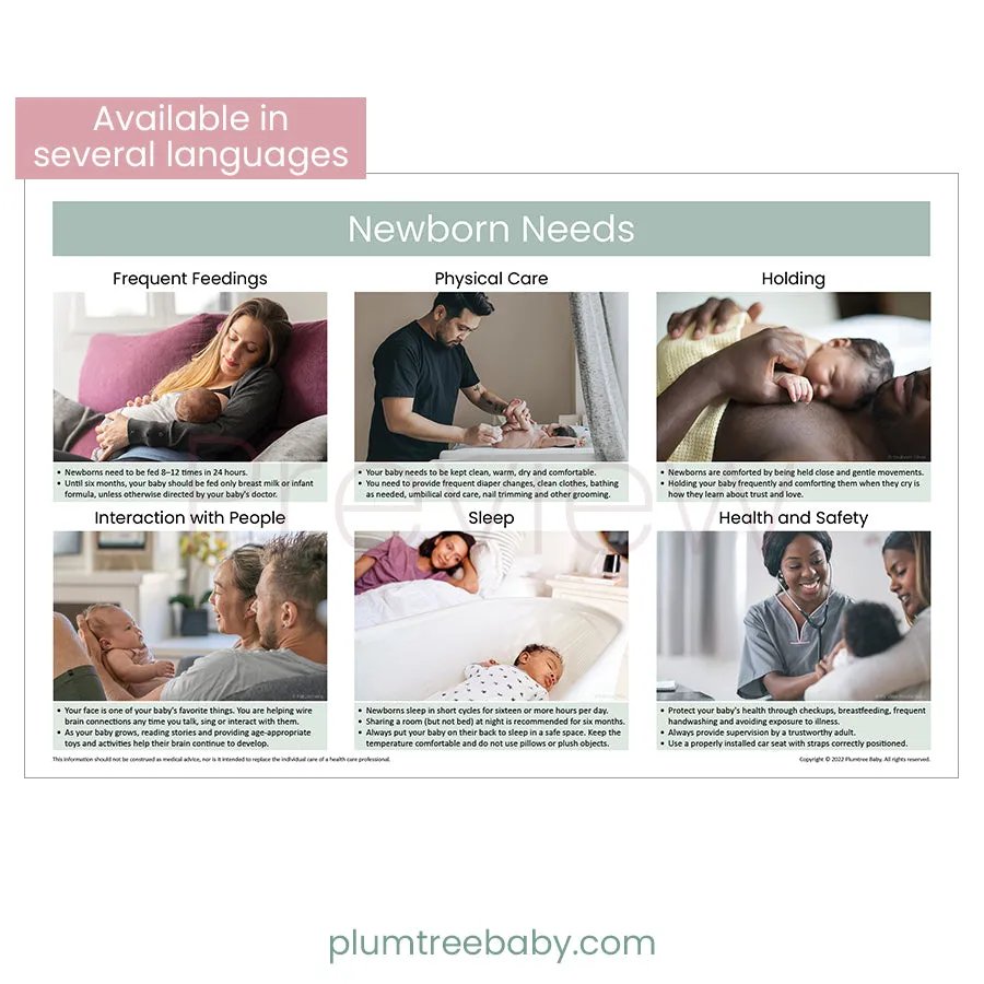 Newborn Needs Poster