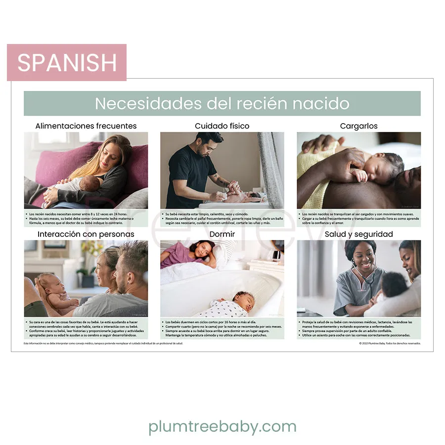 Newborn Needs Poster