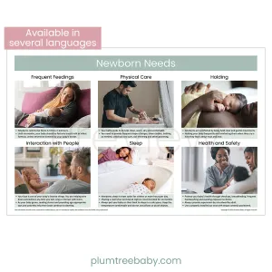 Newborn Needs Poster