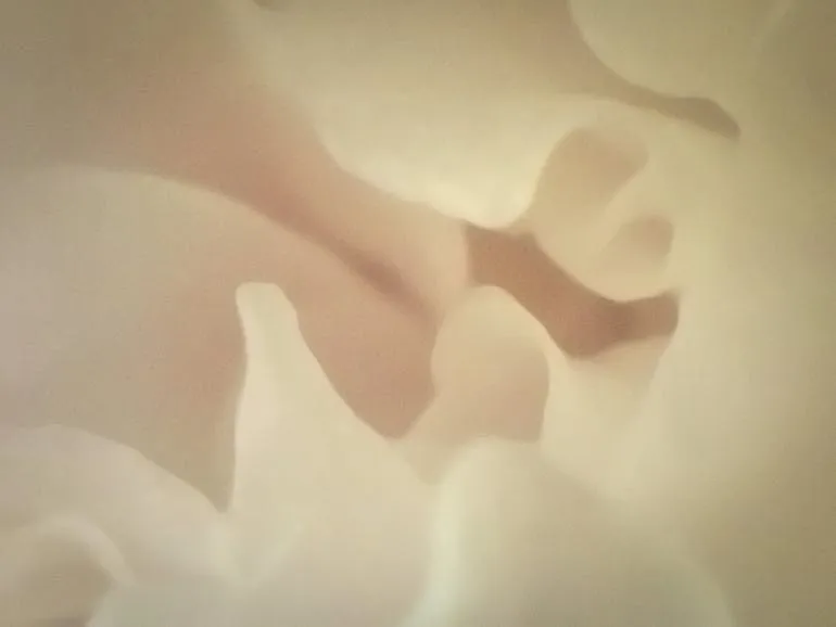 Petals 10