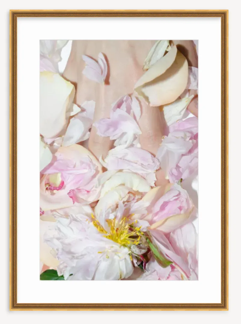 "Peony With Flash" Fine Art Print