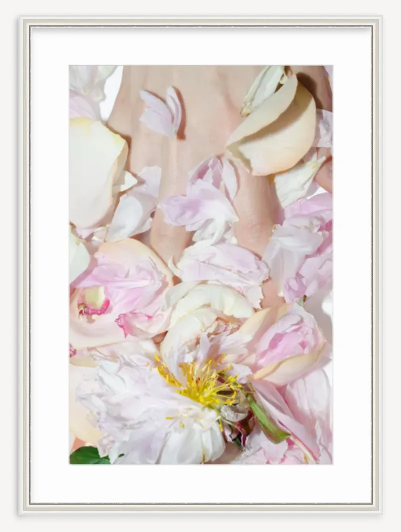 "Peony With Flash" Fine Art Print