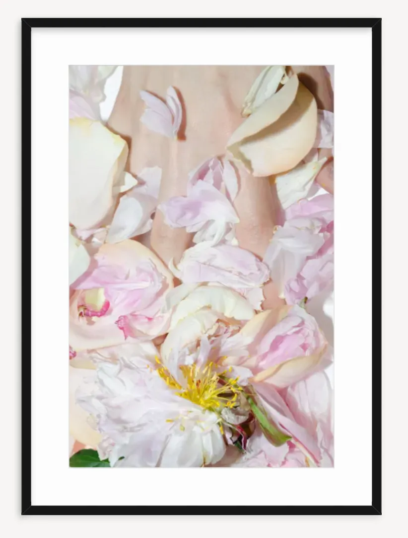 "Peony With Flash" Fine Art Print