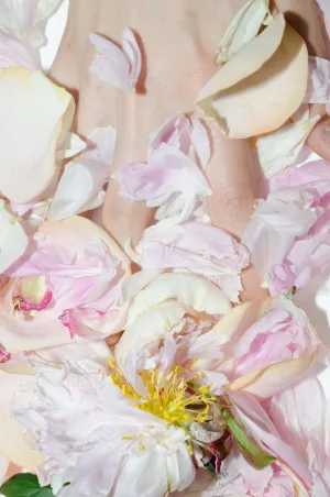 "Peony With Flash" Fine Art Print