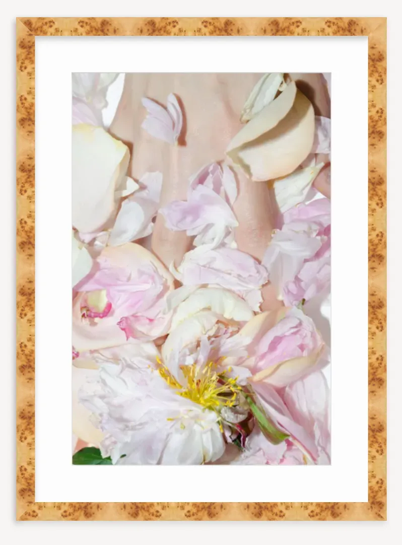 "Peony With Flash" Fine Art Print
