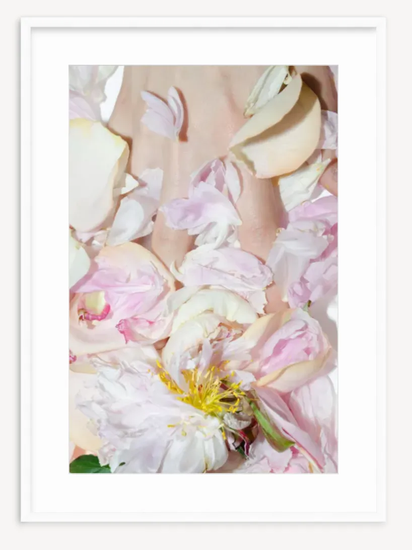 "Peony With Flash" Fine Art Print