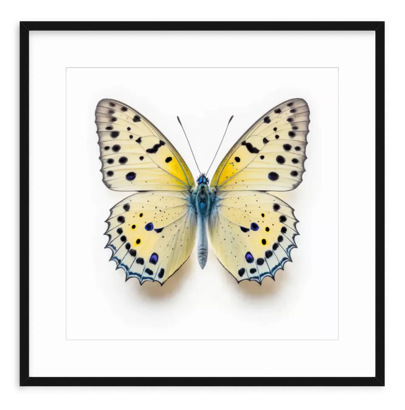 Yellow Butterfly Shadow Box Fine Art Print