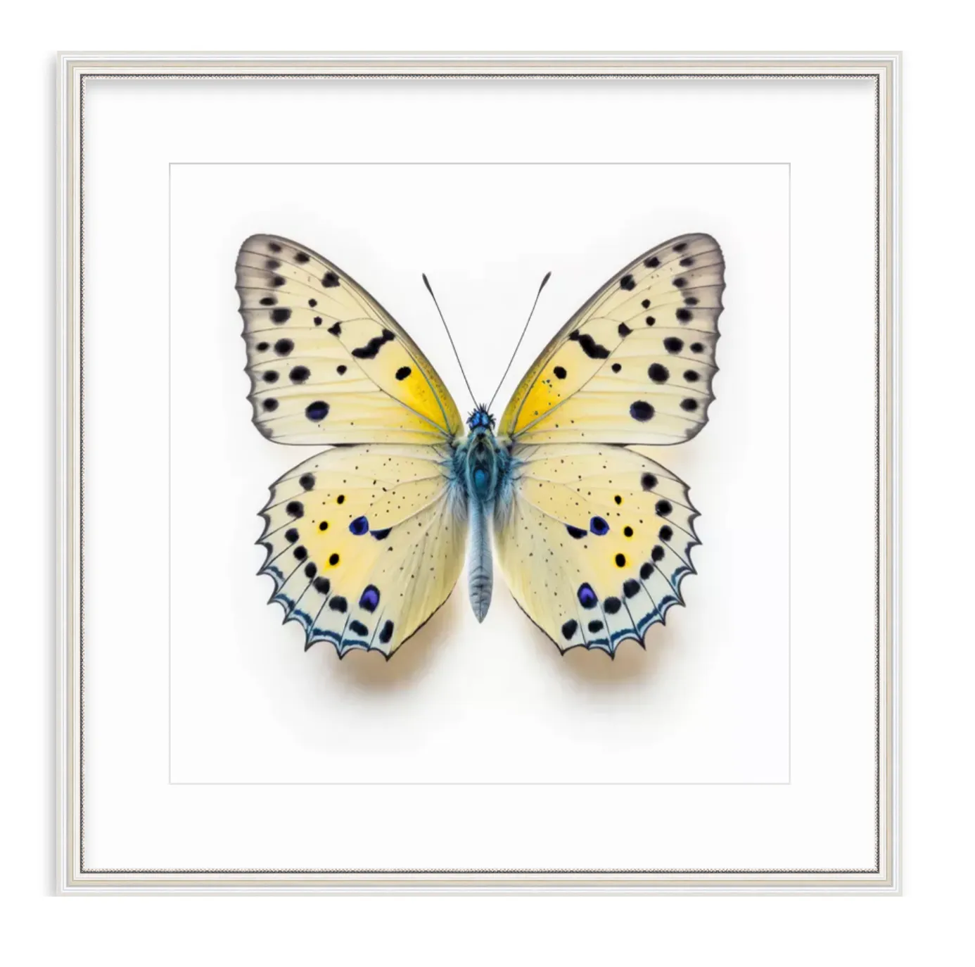 Yellow Butterfly Shadow Box Fine Art Print