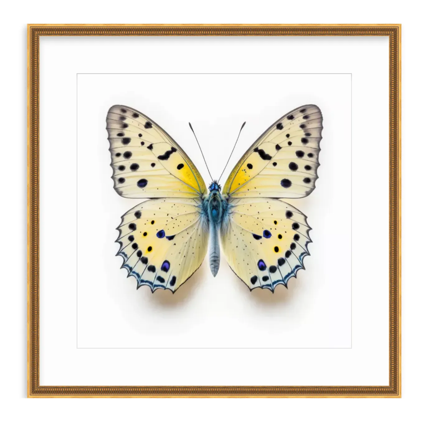 Yellow Butterfly Shadow Box Fine Art Print