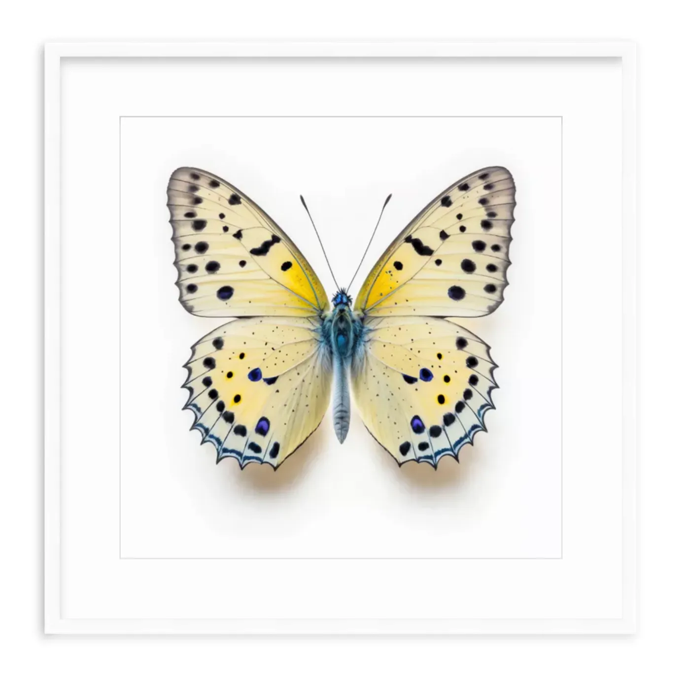 Yellow Butterfly Shadow Box Fine Art Print